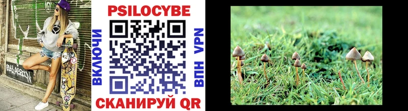 Псилоцибиновые грибы MAGIC MUSHROOMS  Красногорск 