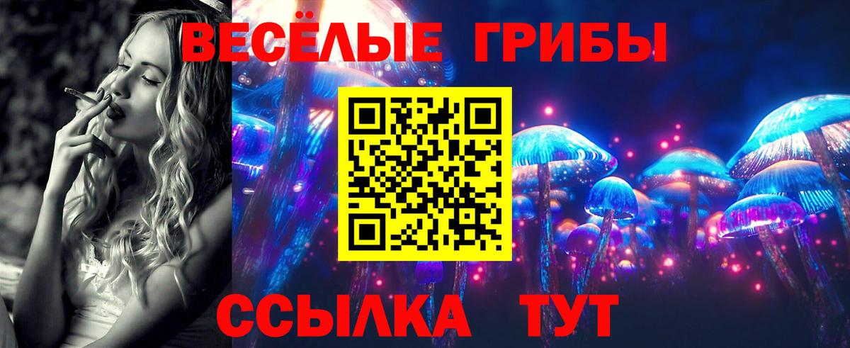 Галлюциногенные грибы мицелий  Вход с VPN  Красногорск  даркнет сайт  Галлюциногенные грибы GOLDEN TEACHER 