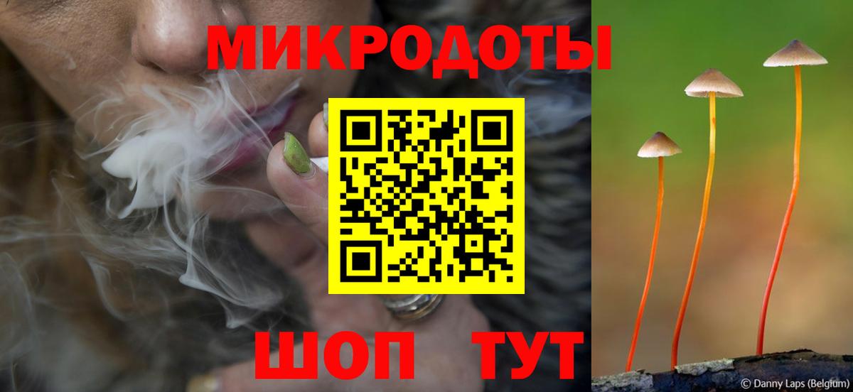 Галлюциногенные грибы Psilocybe Красногорск